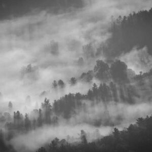 Владимир Иванов