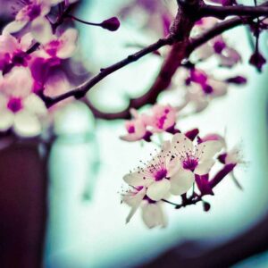 Владимир Иванов